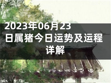 2023年06月23日属猪今日运势及运程详解