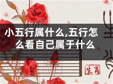 小五行属什么,五行怎么看自己属于什么