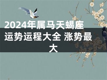 2024年属马天蝎座运势运程大全 涨势最大