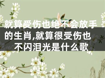 就算受伤也绝不会放手的生肖,就算很受伤也不闪泪光是什么歌
