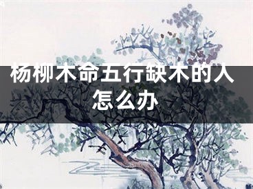 杨柳木命五行缺木的人怎么办