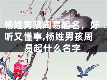 杨姓男孩周易起名，好听又懂事,杨姓男孩周易起什么名字