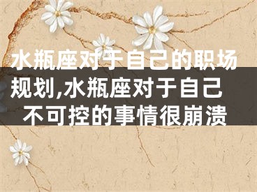 水瓶座对于自己的职场规划,水瓶座对于自己不可控的事情很崩溃