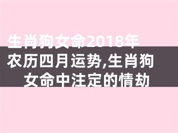 生肖狗女命2018年农历四月运势,生肖狗女命中注定的情劫