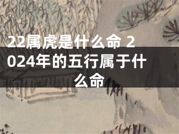 22属虎是什么命 2024年的五行属于什么命