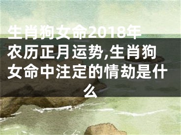 生肖狗女命2018年农历正月运势,生肖狗女命中注定的情劫是什么