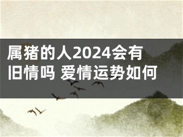 属猪的人2024会有旧情吗 爱情运势如何