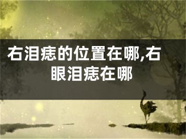右泪痣的位置在哪,右眼泪痣在哪