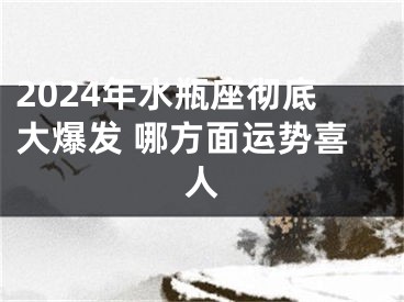 2024年水瓶座彻底大爆发 哪方面运势喜人