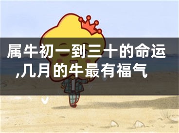 属牛初一到三十的命运,几月的牛最有福气