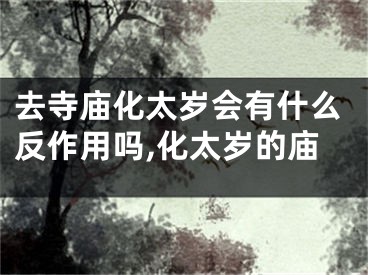 去寺庙化太岁会有什么反作用吗,化太岁的庙