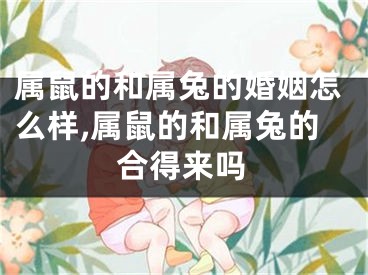 属鼠的和属兔的婚姻怎么样,属鼠的和属兔的合得来吗