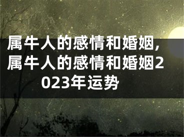 属牛人的感情和婚姻,属牛人的感情和婚姻2023年运势