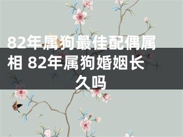 82年属狗最佳配偶属相 82年属狗婚姻长久吗