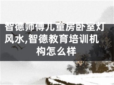 智德师傅儿童房卧室灯风水,智德教育培训机构怎么样
