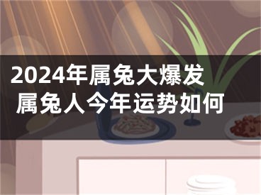 2024年属兔大爆发 属兔人今年运势如何
