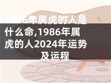 1986年属虎的人是什么命,1986年属虎的人2024年运势及运程