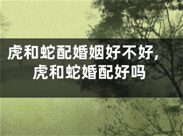 虎和蛇配婚姻好不好,虎和蛇婚配好吗
