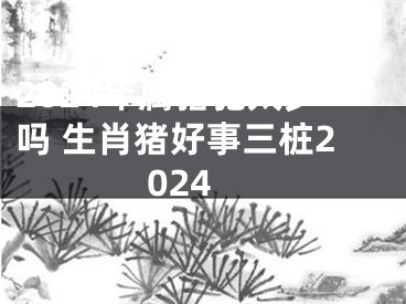 2024年属猪犯太岁吗 生肖猪好事三桩2024