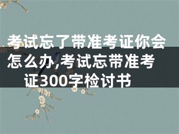 考试忘了带准考证你会怎么办,考试忘带准考证300字检讨书