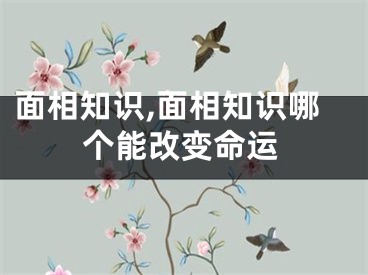 面相知识,面相知识哪个能改变命运