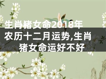 生肖猪女命2018年农历十二月运势,生肖猪女命运好不好