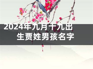 2024年九月十九出生贾姓男孩名字