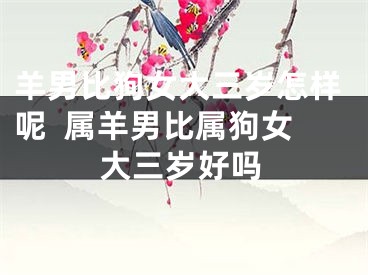 羊男比狗女大三岁怎样呢  属羊男比属狗女大三岁好吗