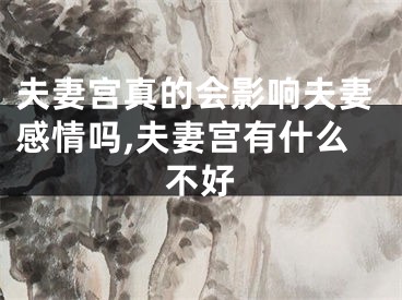 夫妻宫真的会影响夫妻感情吗,夫妻宫有什么不好