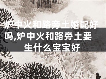 炉中火和路旁土婚配好吗,炉中火和路旁土要生什么宝宝好
