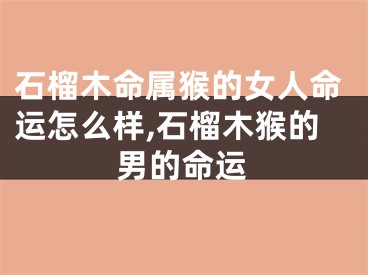 石榴木命属猴的女人命运怎么样,石榴木猴的男的命运