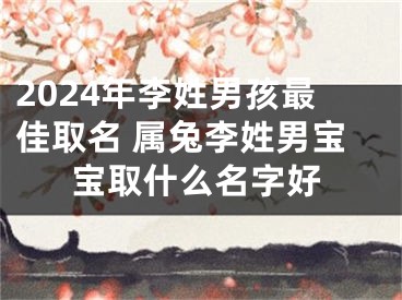2024年李姓男孩最佳取名 属兔李姓男宝宝取什么名字好