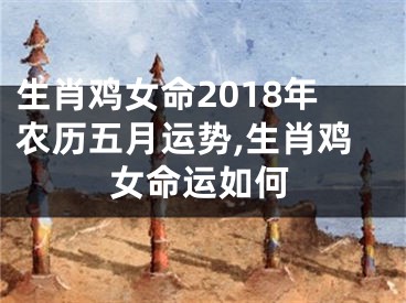 生肖鸡女命2018年农历五月运势,生肖鸡女命运如何