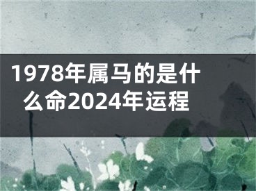 1978年属马的是什么命2024年运程