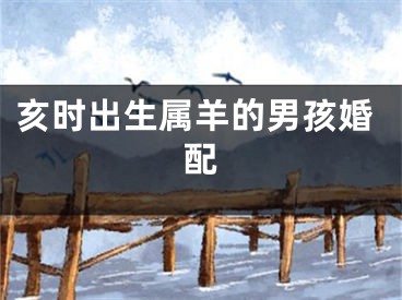 亥时出生属羊的男孩婚配