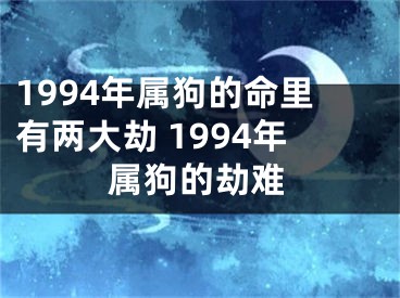 1994年属狗的命里有两大劫 1994年属狗的劫难