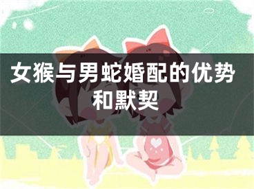 女猴与男蛇婚配的优势和默契