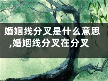 婚姻线分叉是什么意思,婚姻线分叉在分叉