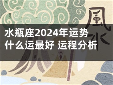 水瓶座2024年运势什么运最好 运程分析