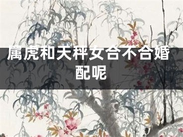 属虎和天秤女合不合婚配呢