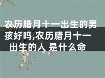 农历腊月十一出生的男孩好吗,农历腊月十一出生的人 是什么命