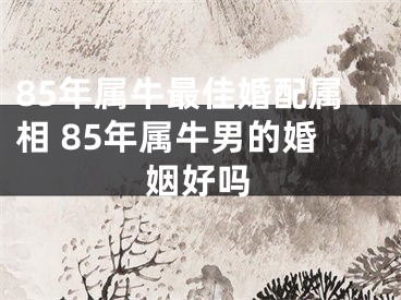 85年属牛最佳婚配属相 85年属牛男的婚姻好吗