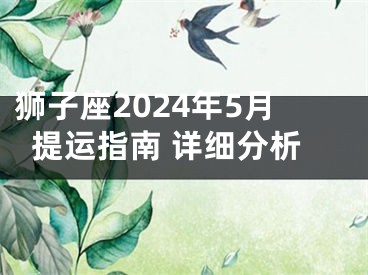 狮子座2024年5月提运指南 详细分析