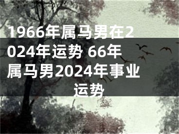 1966年属马男在2024年运势 66年属马男2024年事业运势