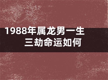1988年属龙男一生三劫命运如何