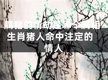 属猪的情劫是哪个属相 生肖猪人命中注定的情人