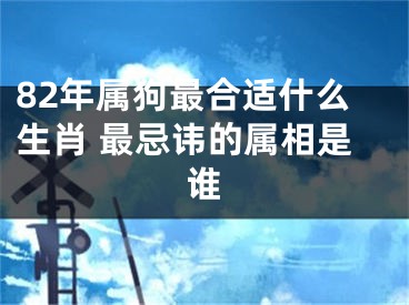 82年属狗最合适什么生肖 最忌讳的属相是谁