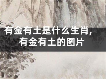 有金有土是什么生肖,有金有土的图片