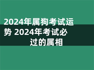 2024年属狗考试运势 2024年考试必过的属相