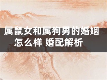 属鼠女和属狗男的婚姻怎么样 婚配解析